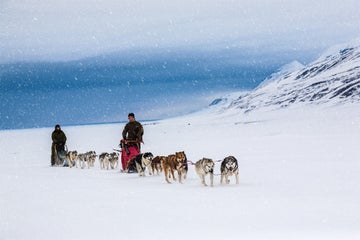 A Guide to Svalbard