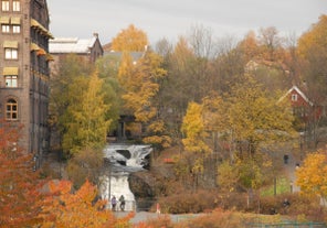 Akerselva River Bike Tour