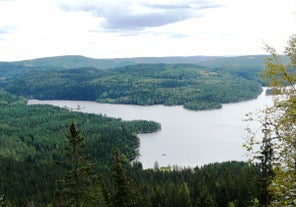 Forest to Fjord Bike Tour