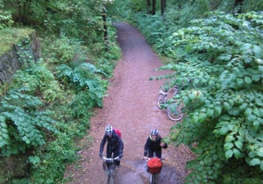 Forest to Fjord Bike Tour