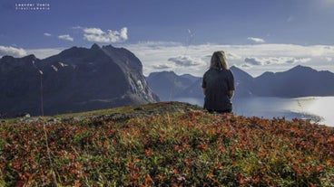 Fjord Excursion by Mini-Bus